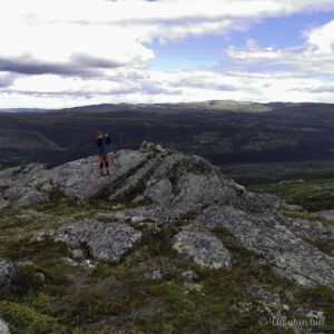 Ein gut som står på ein stein på ein fjelltopp