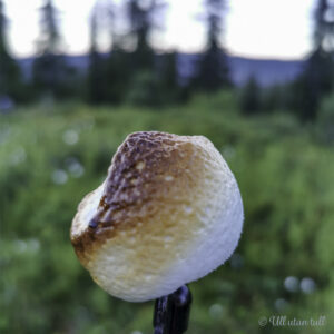 Ein perfekt grilla marshmallow