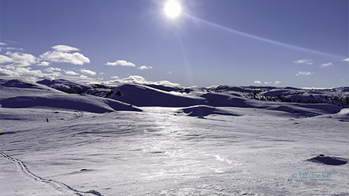 Blå himmel og sol over snøkledde fjell med skispor